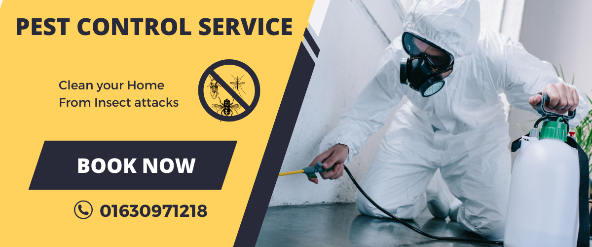 Top Professional Pest Control in Mirpur |  01630971218